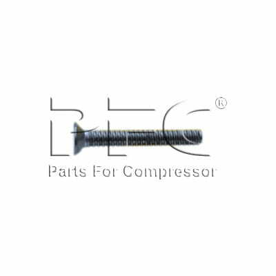 Screw Flt Head Mach 95110573 Replacement